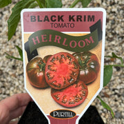 Heirloom Tomato Black Krim