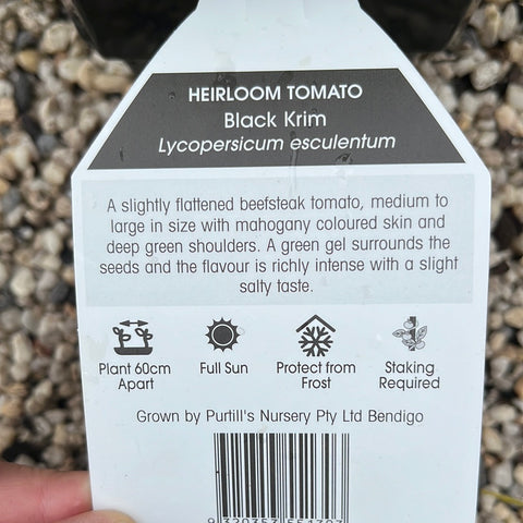 Heirloom Tomato Black Krim