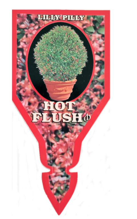 Acmena Hot Flush 140mm