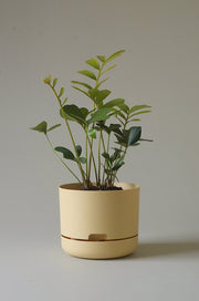 Mr Kitly Self Watering Pots