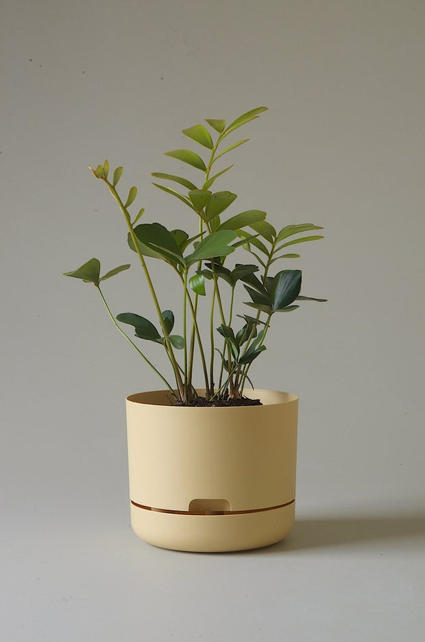 Mr Kitly Self Watering Pots