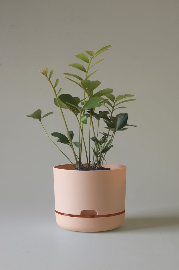Mr Kitly Self Watering Pots