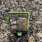 Chilli ‘Thai’ - Purtill max