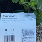 Marjoram maxi Purtill