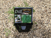 Dill - Purtill maxi