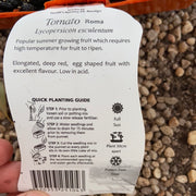 Tomato ‘Roma’ - Purtill