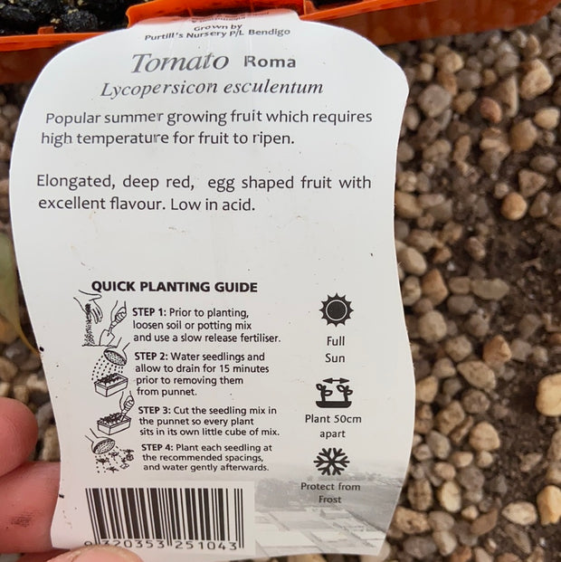 Tomato ‘Roma’ - Purtill