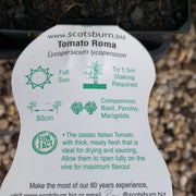 Tomato ‘Roma’ maxi - Scotsburn