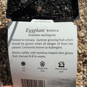 Eggplant Bonica ‘Maxi’
