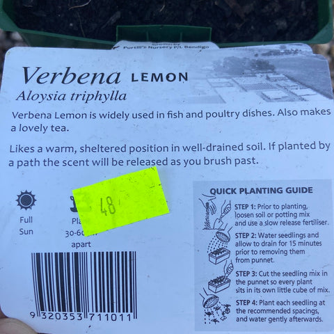 Verbena Lemon - Maxi- Purtill