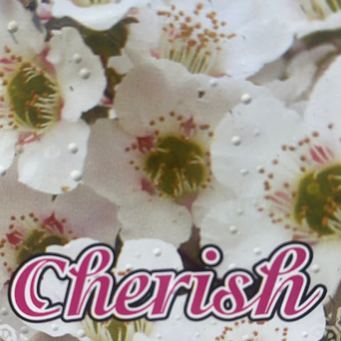 Leptospermum Cherish 140mm