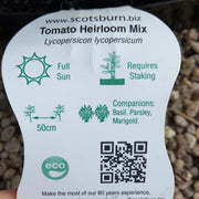 Tomato ‘Heirloom mix’ - Scotsburn