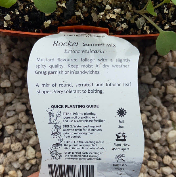 Rocket ‘Summer Mix’ - Purtill