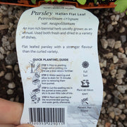 Parsley Italian flat leaf - Purtill