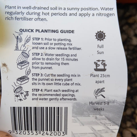 Silverbeet seasonal variety - Purtill