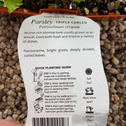 Parsley ‘triple curled’ - Purtill
