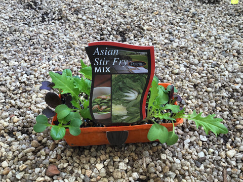 Asian Stir Fry Mix - Purtill