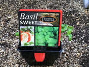 Basil ‘sweet’ - Purtill maxi