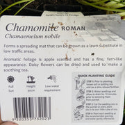 Chamomile - Roman - Purtill