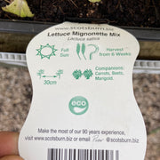 Lettuce Mignonette mix - scotsburn