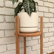 Mark Thomas designs