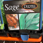 Sage - Purtill Maxi