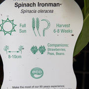 Spinach - Ironman - Scotsburn