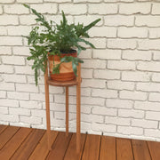 Timber Wing Plant Stands