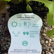 Lettuce ‘salad Mix’ - Scotsburn